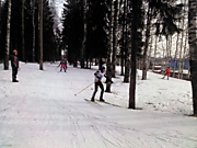 Лыжники на трассе!